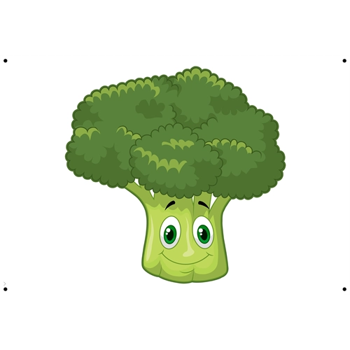 Broccoli Classroom Vegetable Transparent Sticker